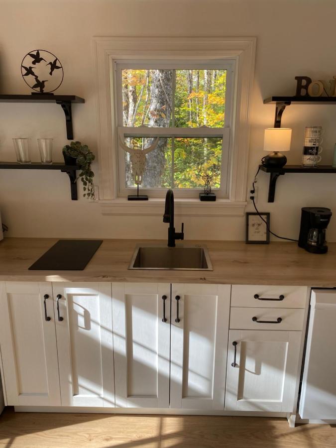 East Kemptville Bear Cabin - Forest Retreat Nearby Lake - Not On Waterfront מראה חיצוני תמונה