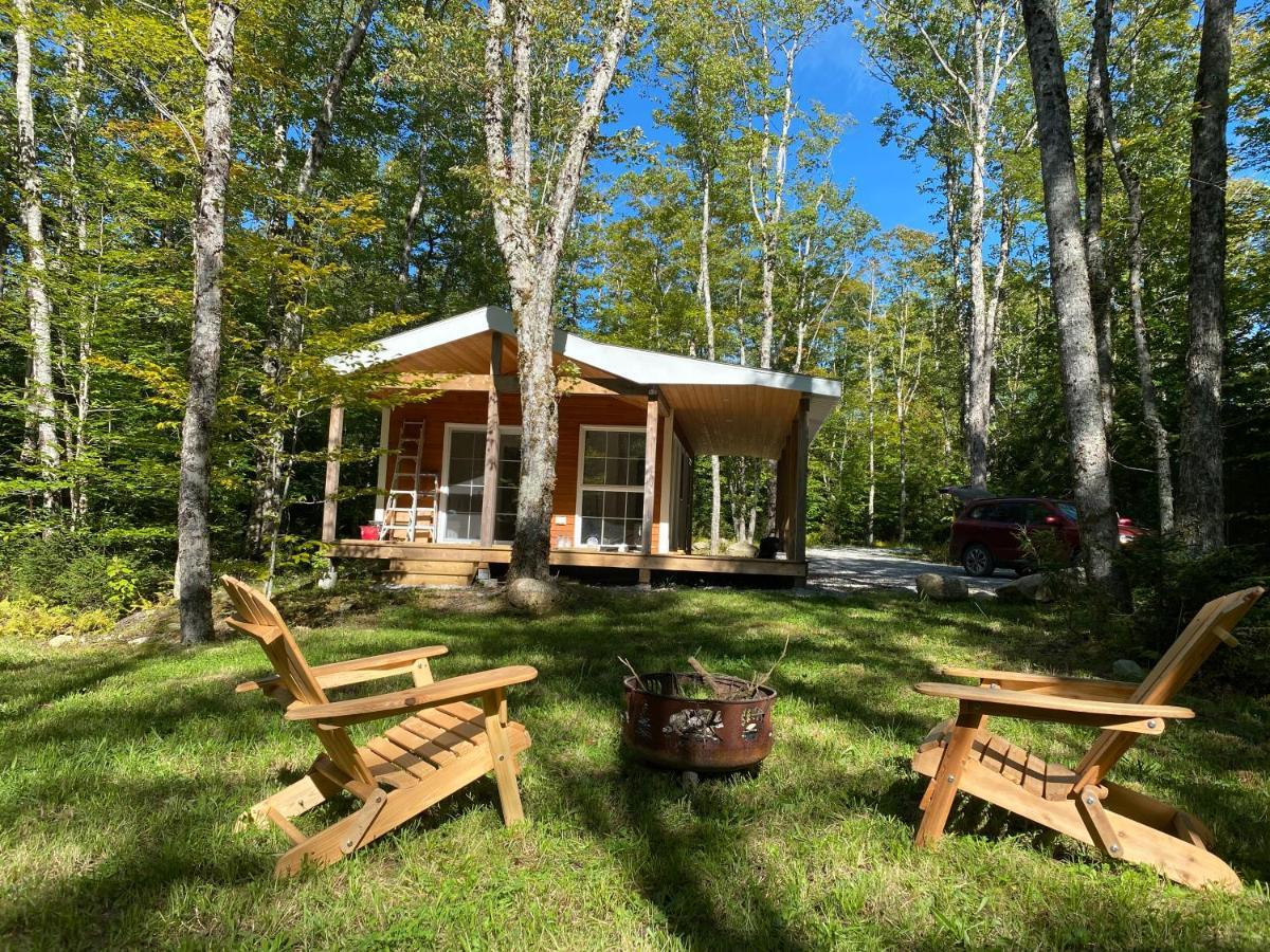 East Kemptville Bear Cabin - Forest Retreat Nearby Lake - Not On Waterfront מראה חיצוני תמונה
