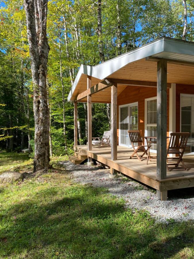 East Kemptville Bear Cabin - Forest Retreat Nearby Lake - Not On Waterfront מראה חיצוני תמונה