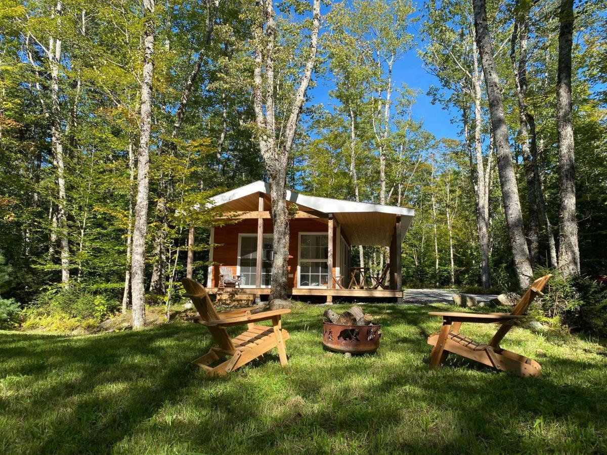 East Kemptville Bear Cabin - Forest Retreat Nearby Lake - Not On Waterfront מראה חיצוני תמונה